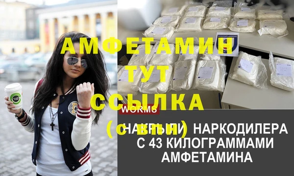гидра Аркадак