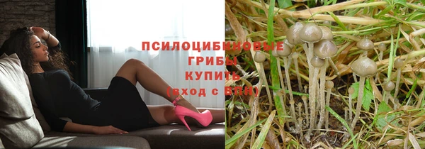 гидра Аркадак