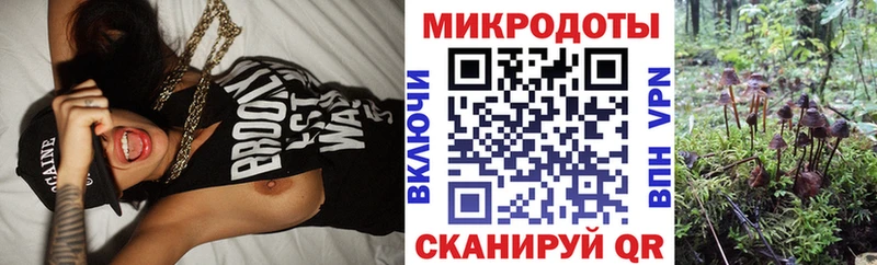 мега вход Чебаркуль Галлюциногенные грибы прущие грибы